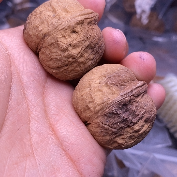 把件文玩核桃   34