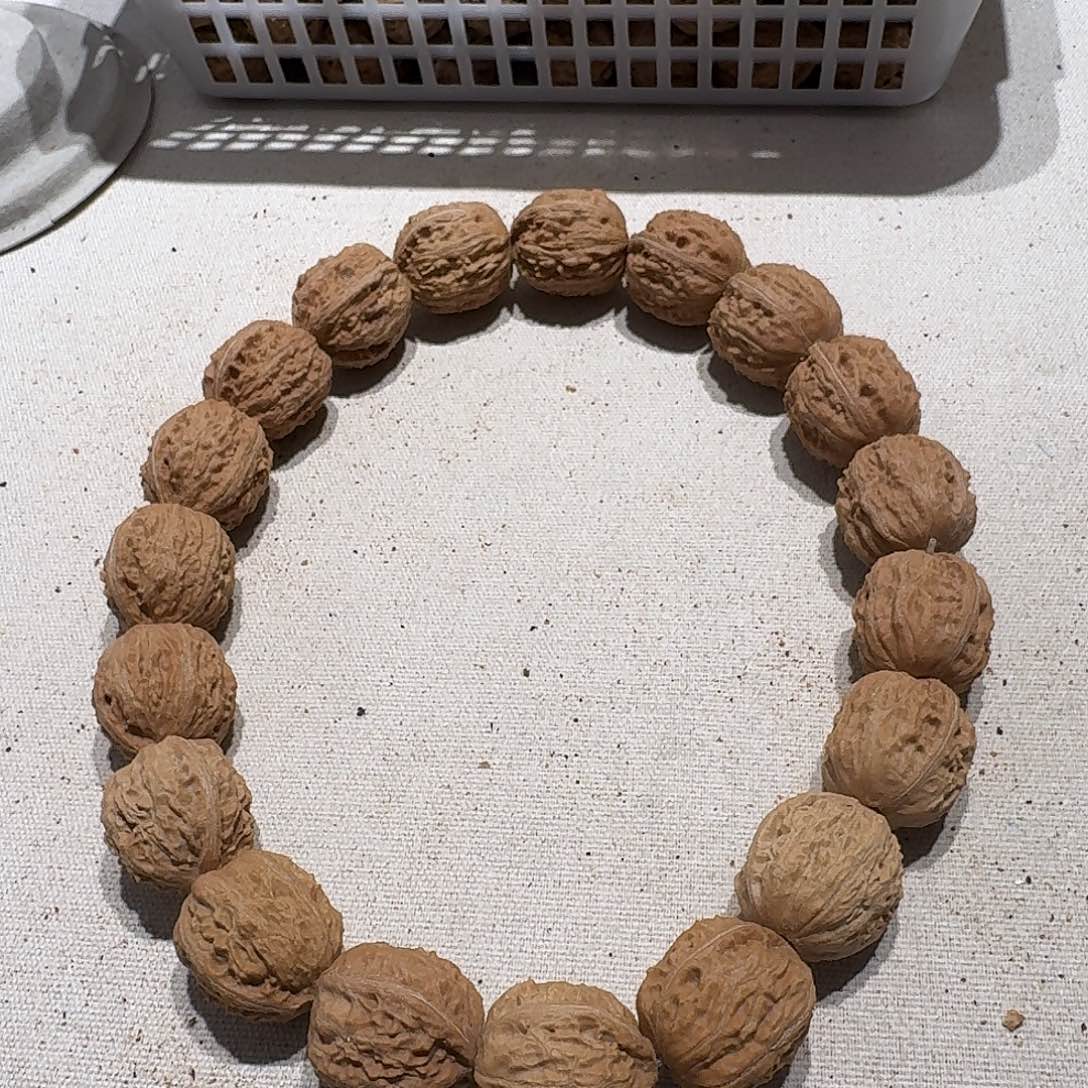 核桃手串/手链26号边23肚22高24