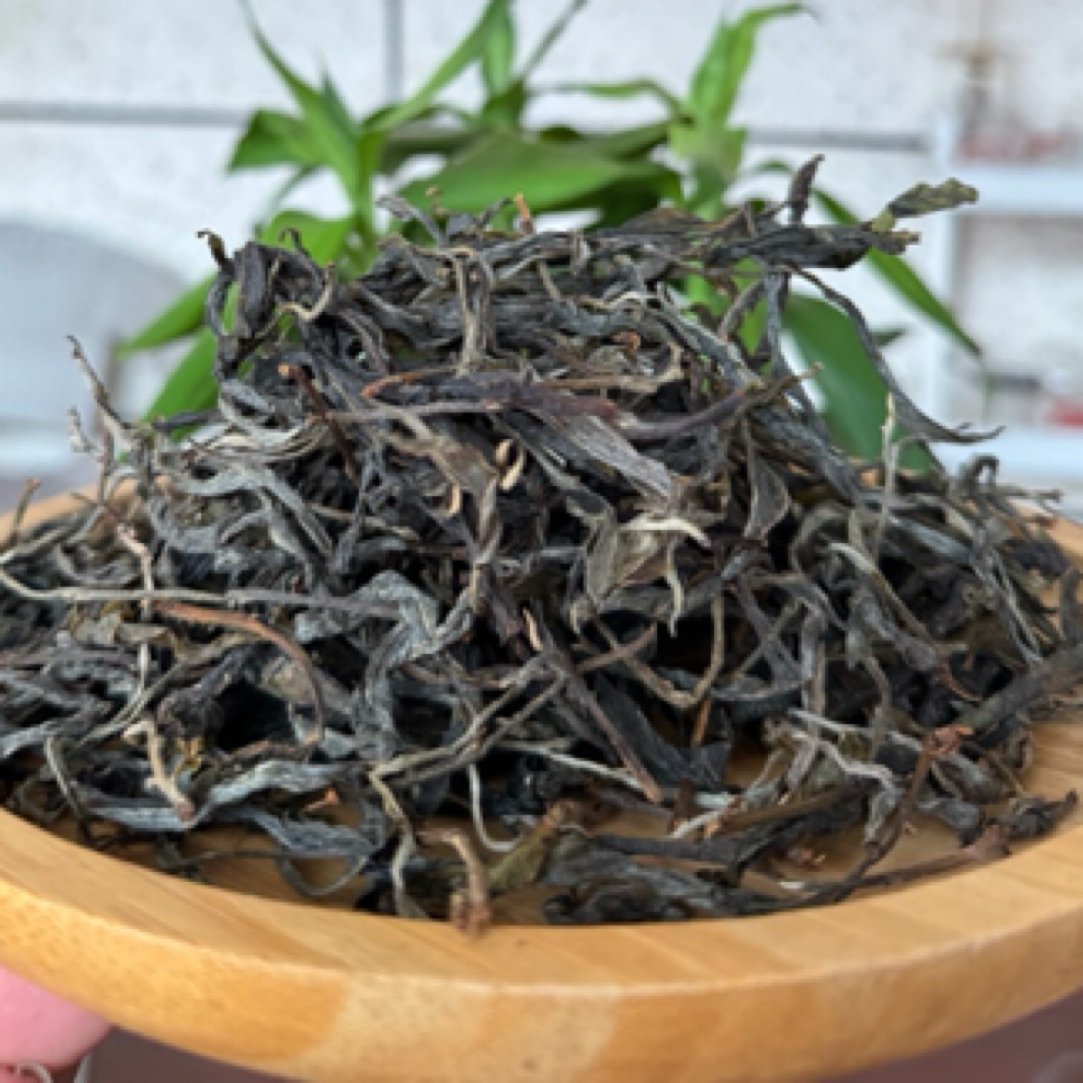 2025年梅子箐自家古茶园头春