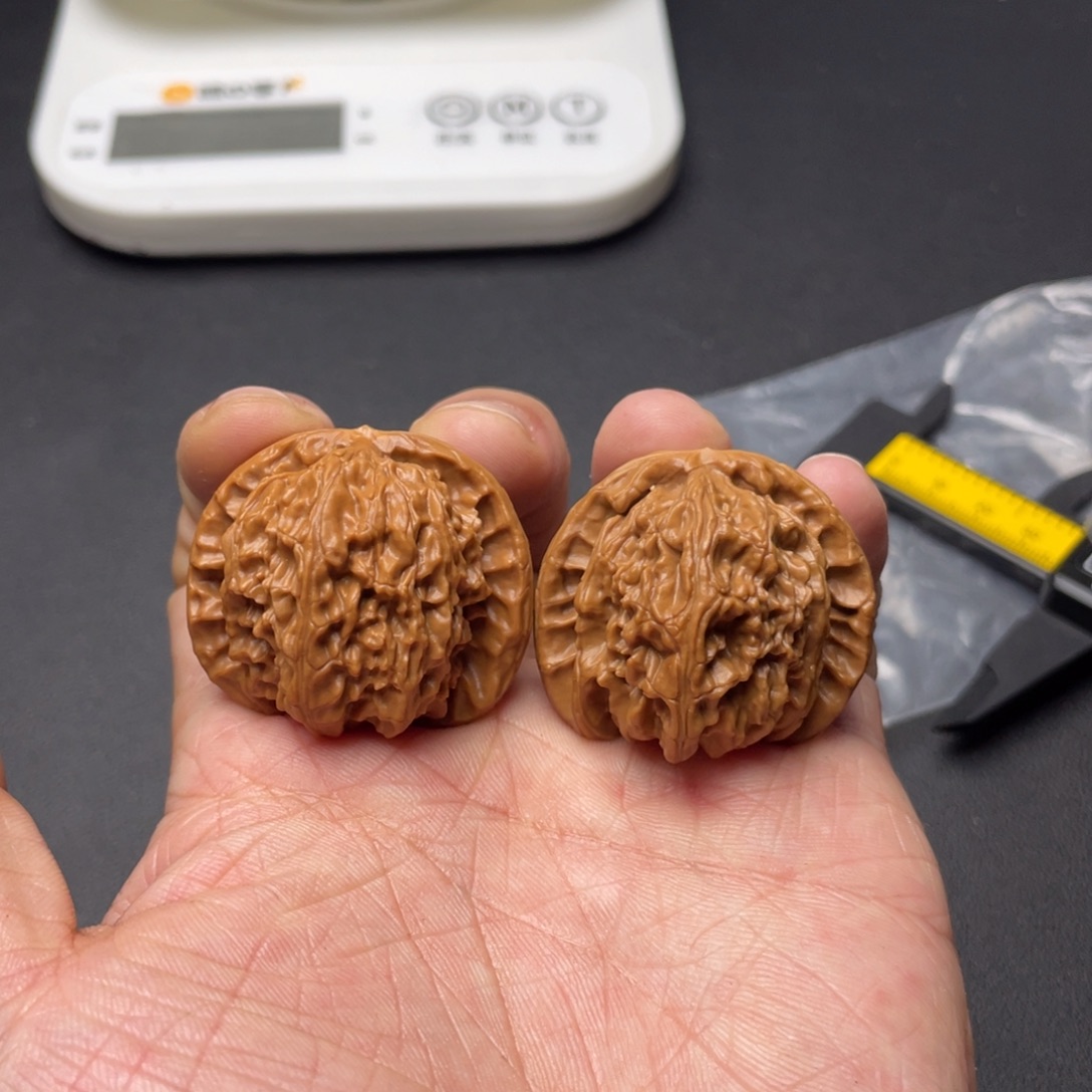 核桃白狮子39尺已打底