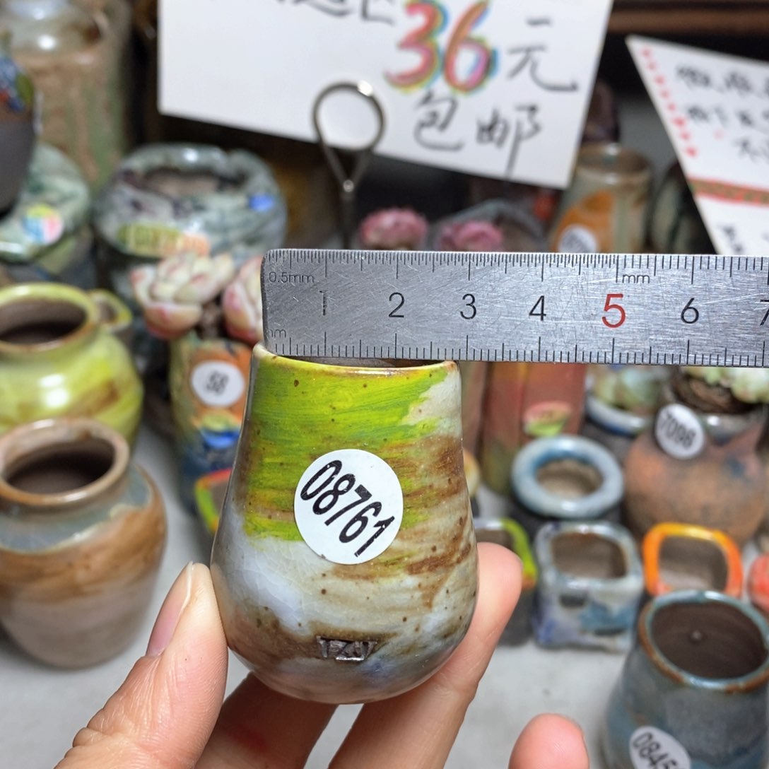 花盆拍5送一个小礼物