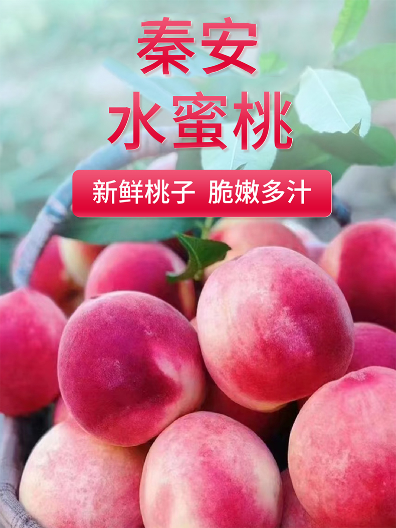 甘肃秦安高山上海2025水蜜桃脆甜软糯多汁现摘现发脆甜包邮空运
