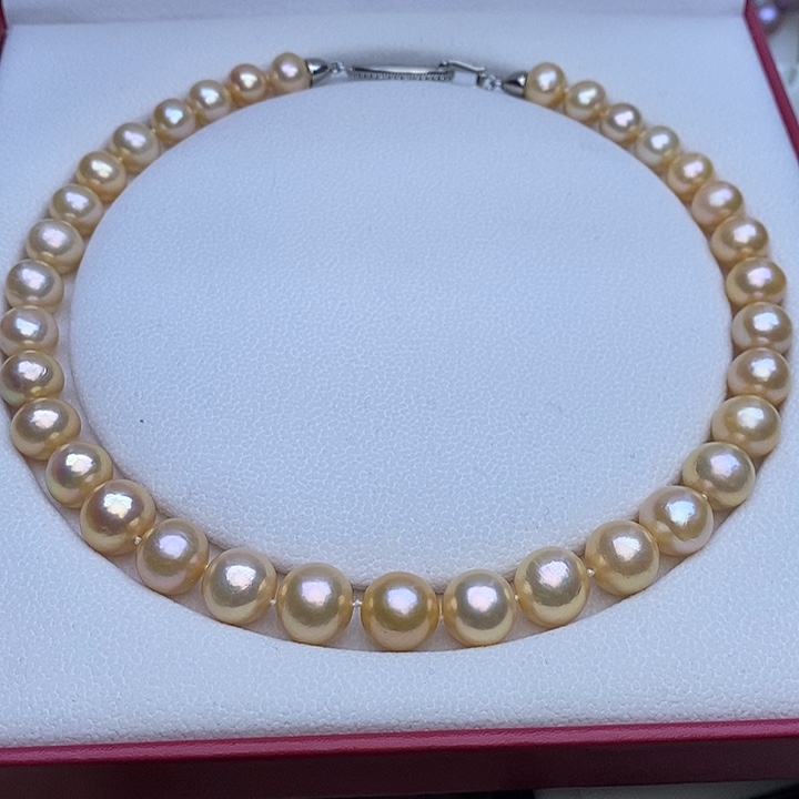 淡水珍珠项链未镶嵌10-13mm香槟金