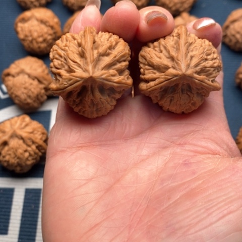 橄榄核手串/手链文山35全品