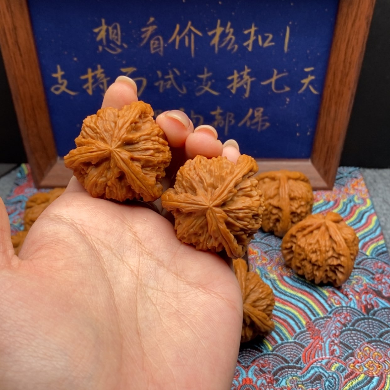 【闪购商品】S*y白狮