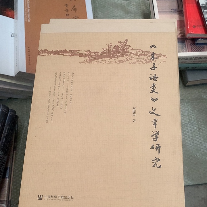 朱子默认微瑕介意勿拍