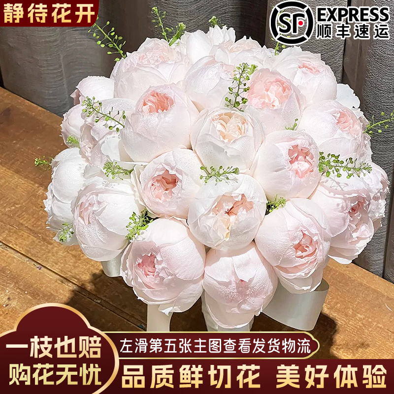 【静待花开】可爱瓷-稀有单头玫瑰 云南鲜花斗南花卉顺丰包邮冷链