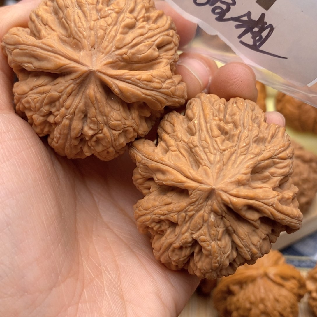 文玩核桃把件331号50全粗筋