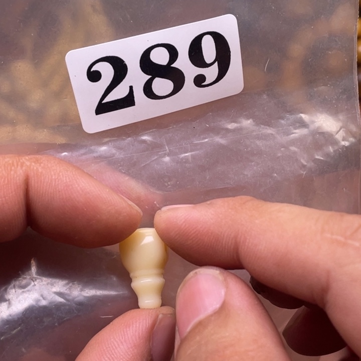 驼骨其他人工养殖