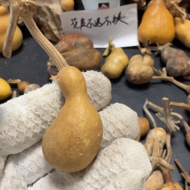 咕***猫66777777777777888899