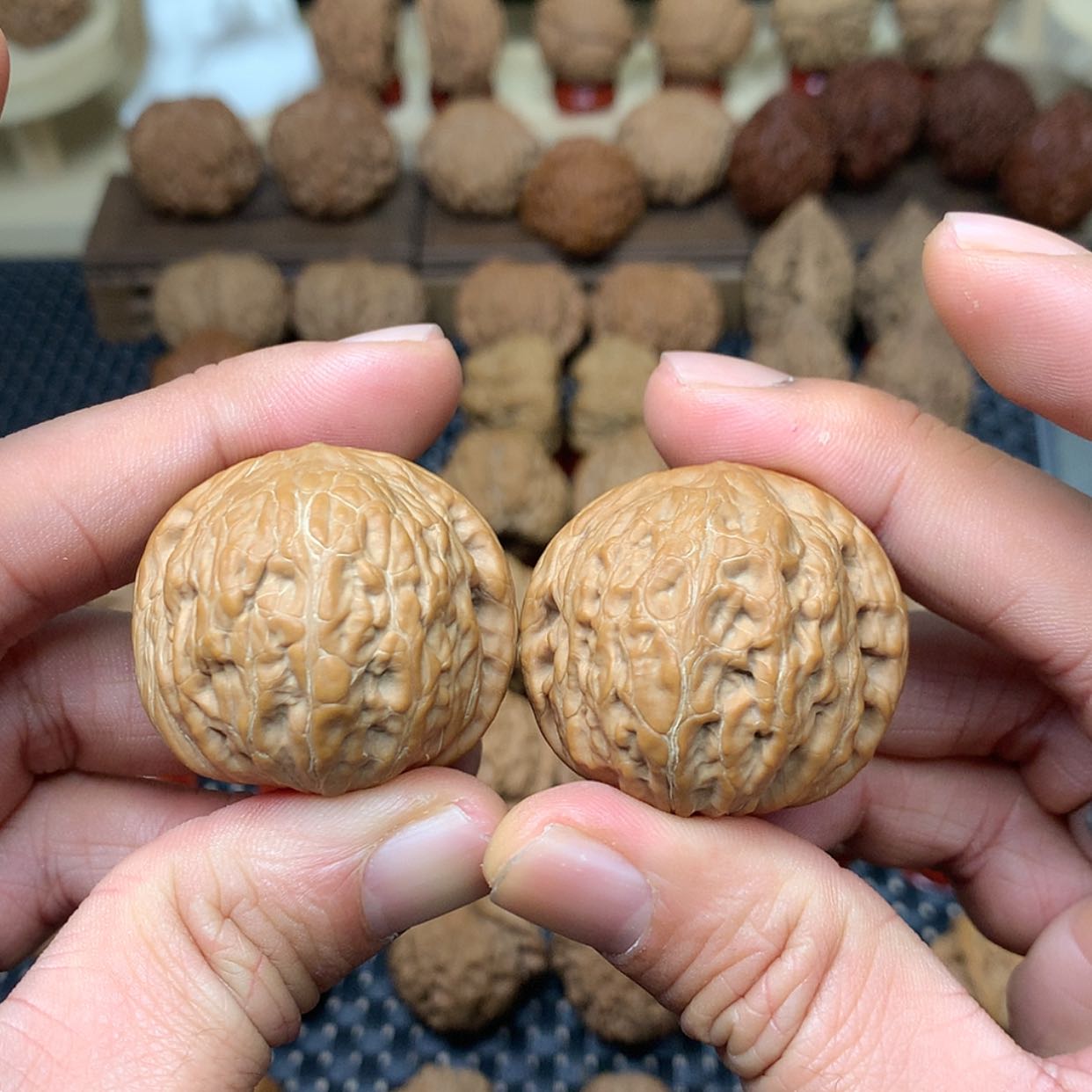 【闪购商品】文玩核桃把件全品铁锤妹妹狮子头39文玩核桃