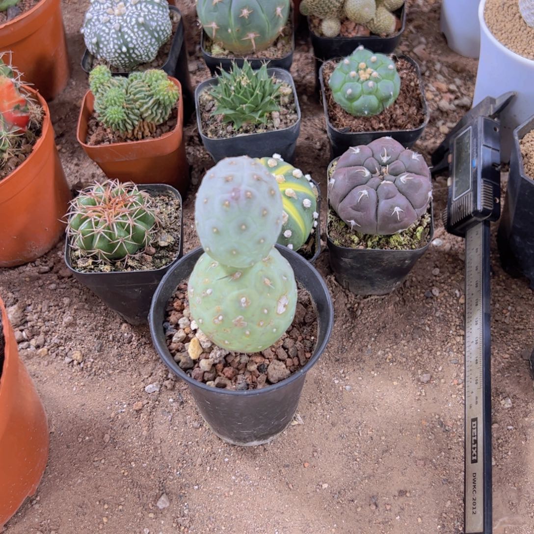 水***番3333333333333333333