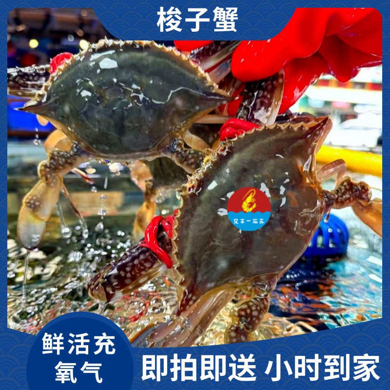 (梭子蟹)默认打氧配送 在配送途中有缺氧死亡的情况 kg建议者请慎拍哦