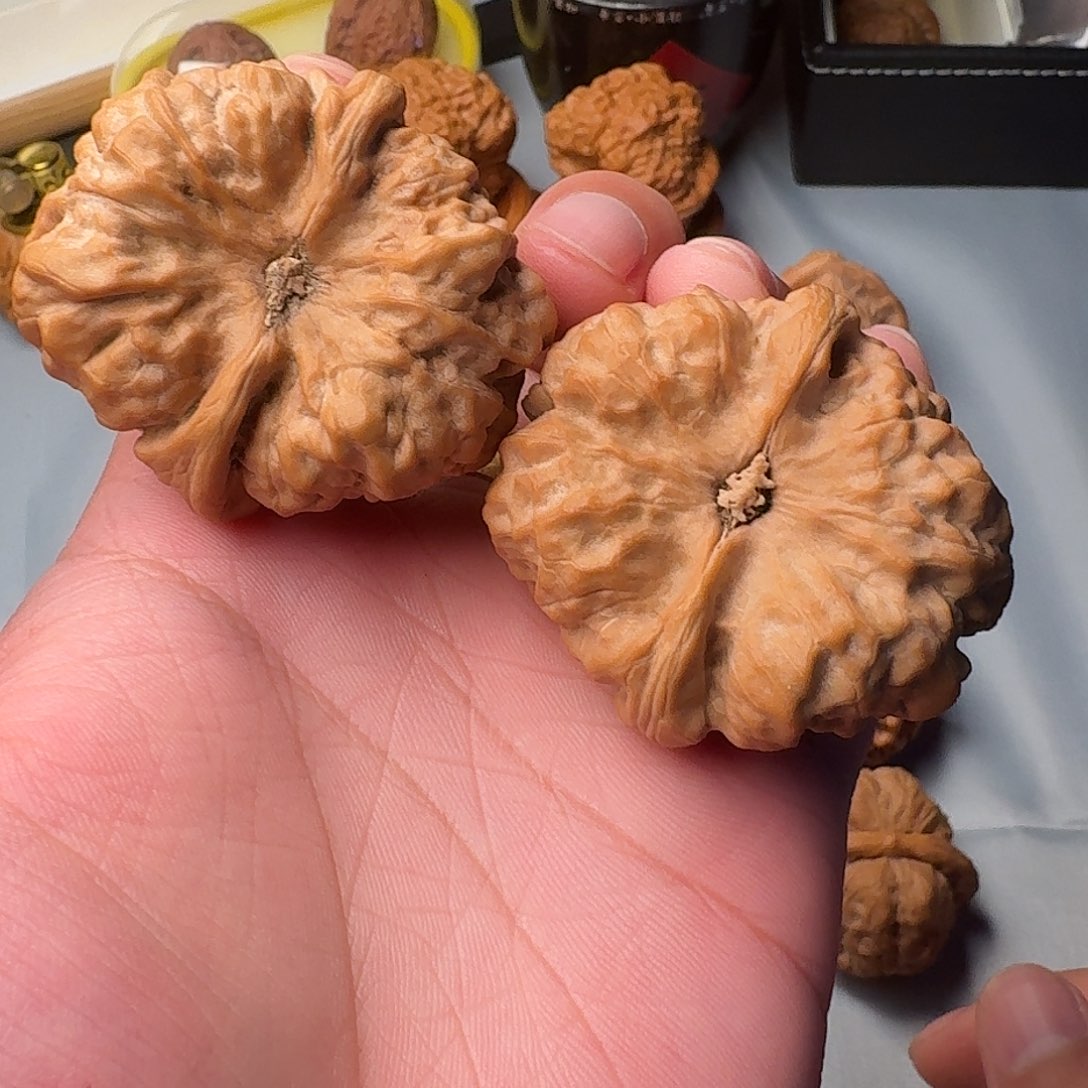 文玩核桃把件金蟾蛤蟆头