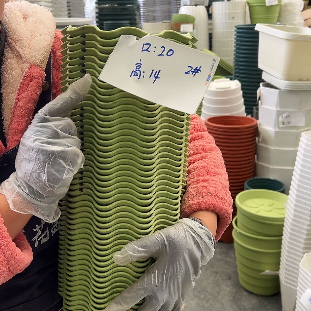 瑕疵荷叶边2#果绿色10个无托