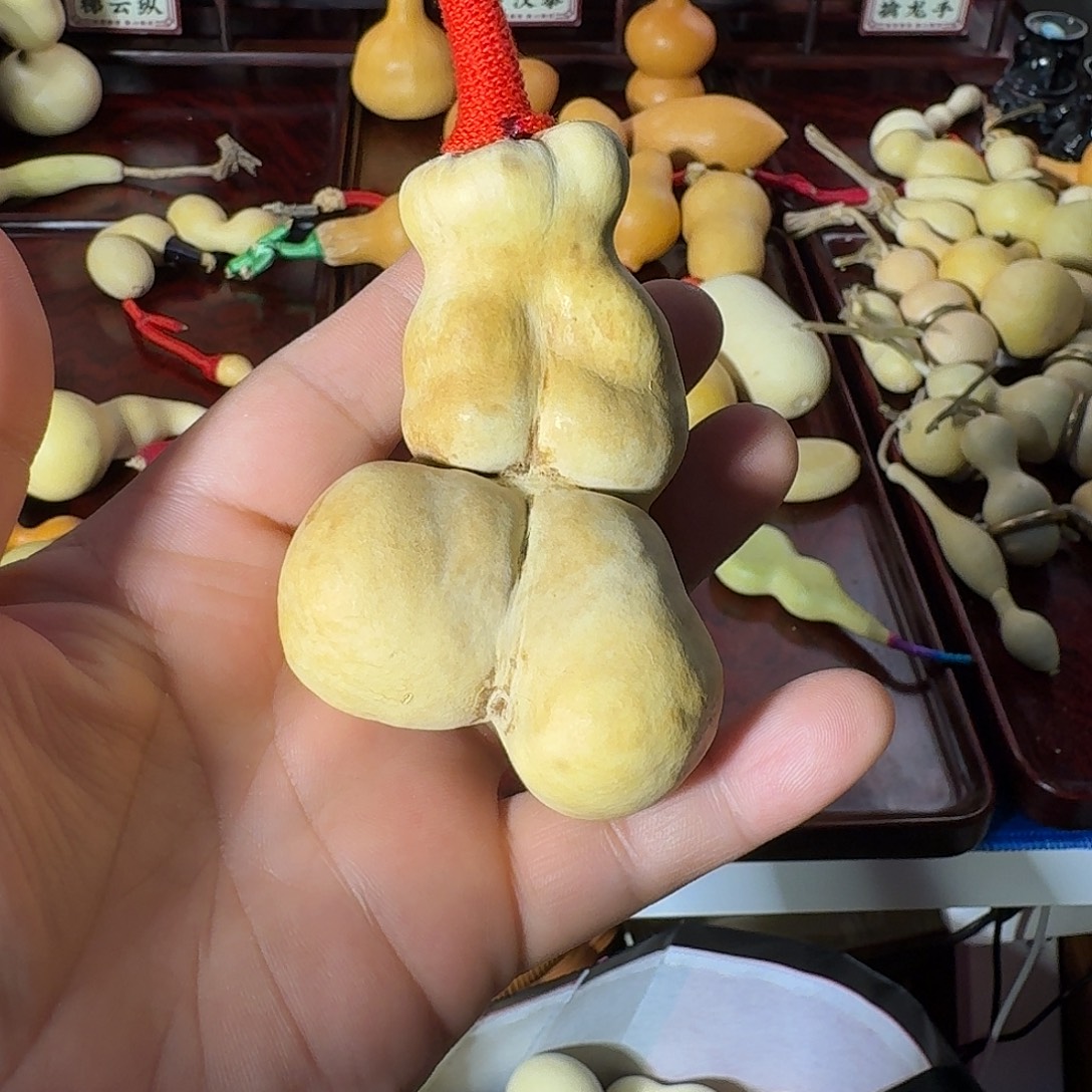 哈***芦花头微瑕漂亮小尺寸