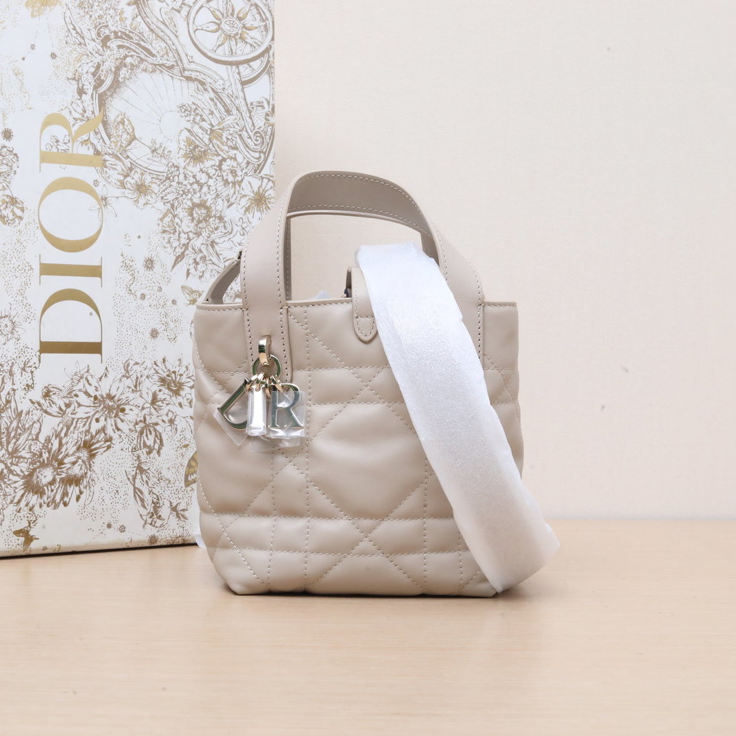 未使用 DIOR/迪奥 小花柳 米色 金扣 2025 Toujours 竖版 13cm