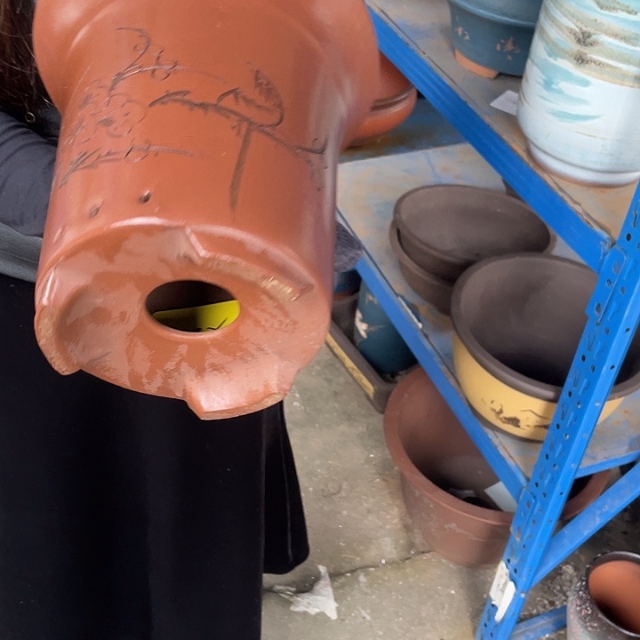 单大号花盆紫砂花盆紫砂