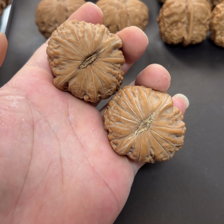 大叶紫檀（黑酸枝木类）铁锤