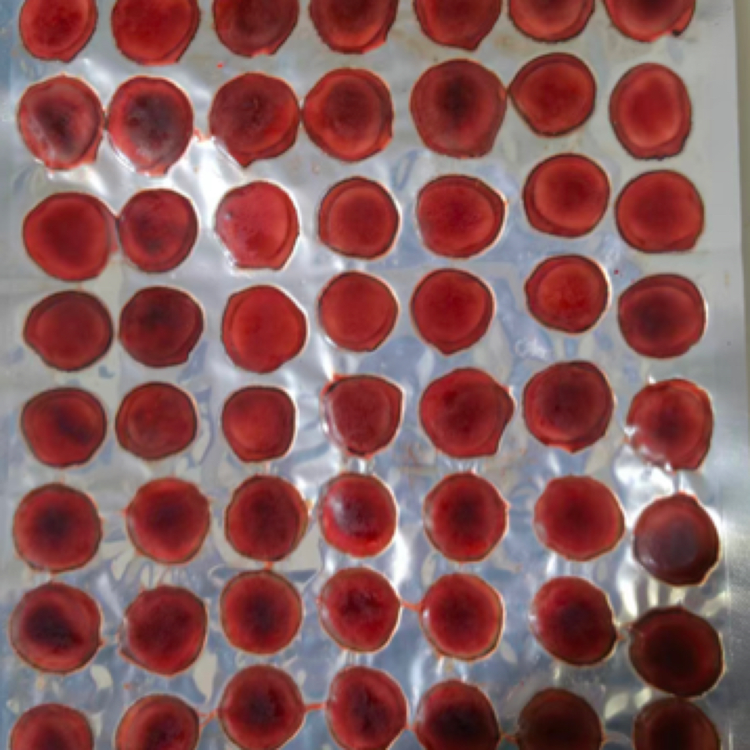 新鲜吉林鹿茸片真空袋装可用于泡酒煲汤滋补顺丰包邮