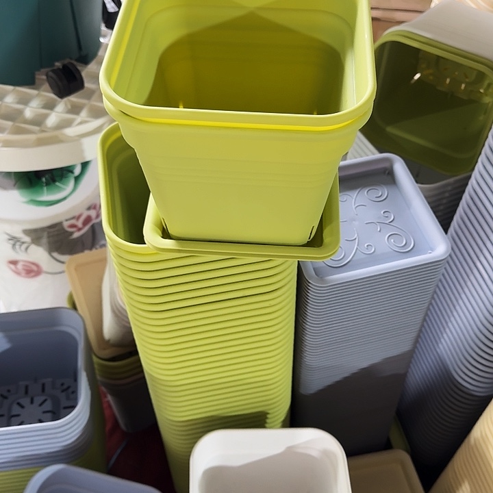 方21口径5个无托果绿新款