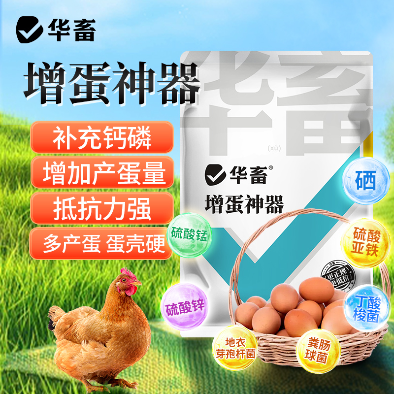 增蛋宝蛋禽饲料添加剂蛋多多催蛋多下蛋延长产蛋期鸡鸭鹅增蛋神器