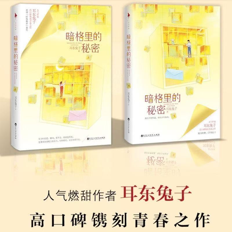 正版暗格里的秘密小说实体书晋江文学城人气作家耳东兔子青春校园