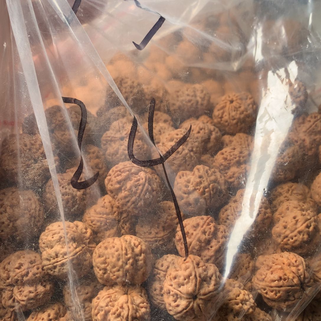 金刚菩提手串水**孩24天宫次超头14颗