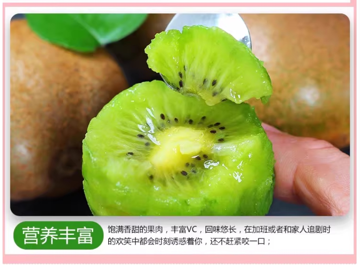 【现摘现发】正宗绿心猕猴桃新鲜现摘当季水果（大果24颗）