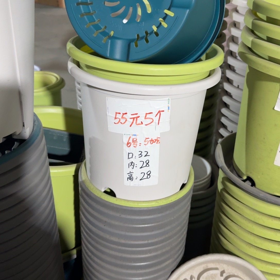 四季6#口径32无拖军绿5个