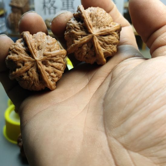 许***恙大叶紫檀（黑酸枝木类）雨花石狮子头核桃四棱