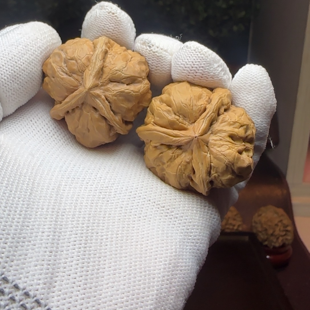 把件文玩核桃蛤蟆三棱