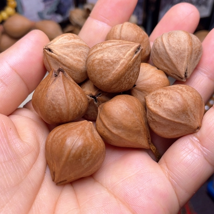 手串/手链橄榄核橄榄核异型2.1左右蒜头