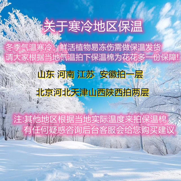 零下地区拍保温（拍保温冻坏包赔）