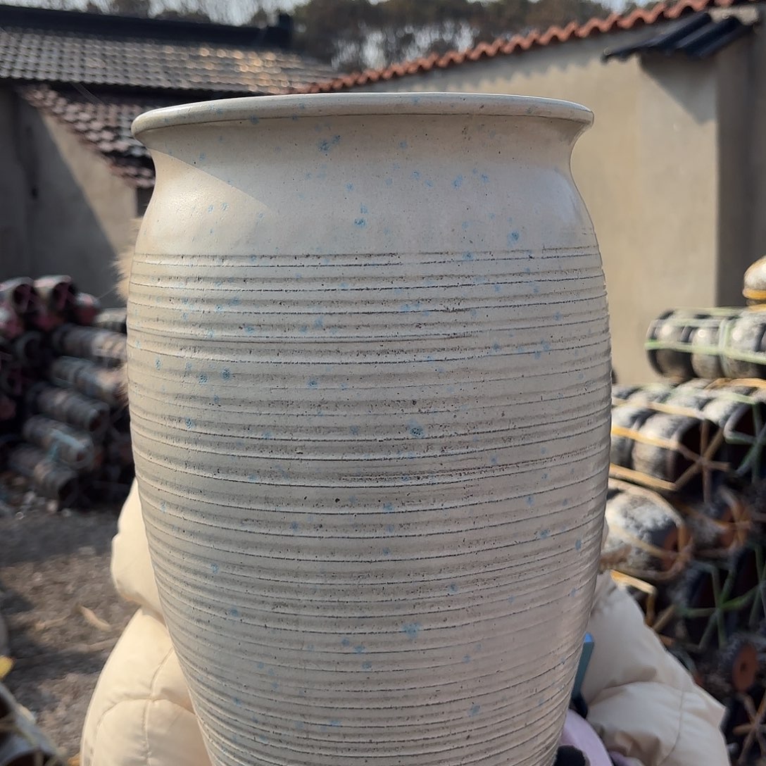 口径20高度33一个白