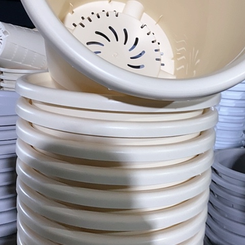 树脂四季8号米黄无托5个