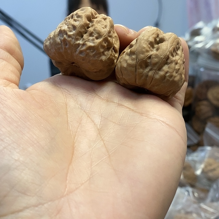 文玩核桃把件34.5蛤蟆头龟背