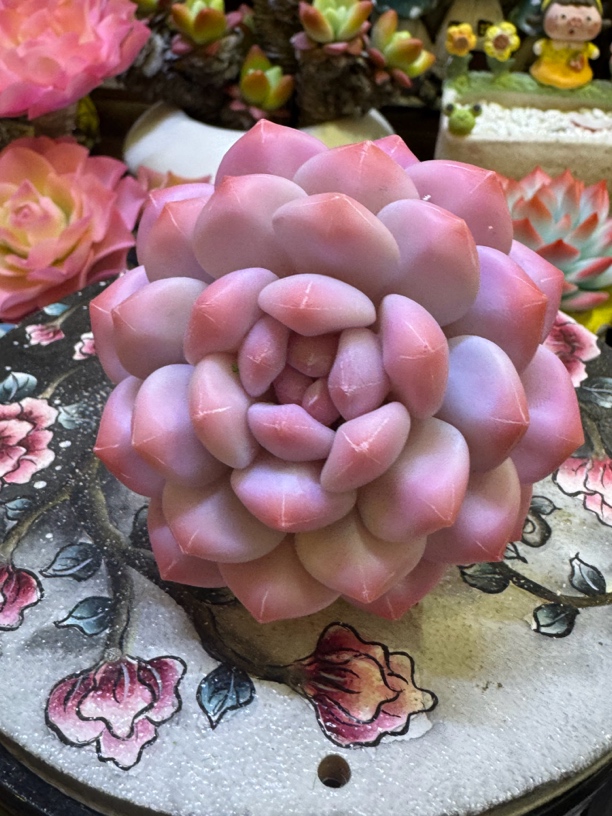 橙梦露（手工粘土制作）