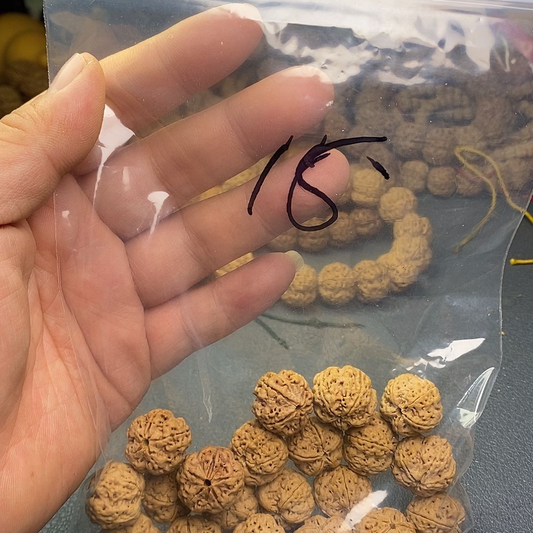 金刚菩提手串福利