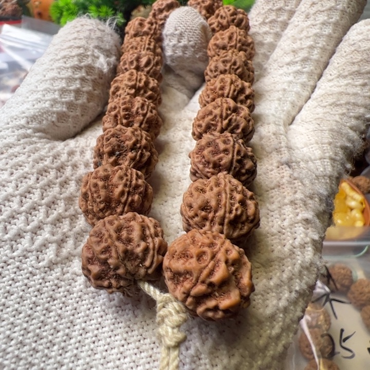 金刚菩提手串18雪山铁籽始祖梅花