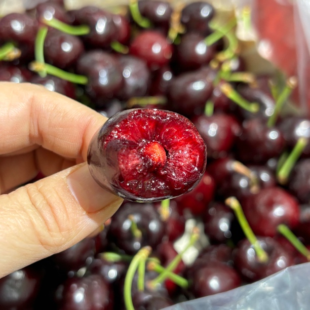 大2J智利进口桑缇娜品种五斤装一箱新鲜水果