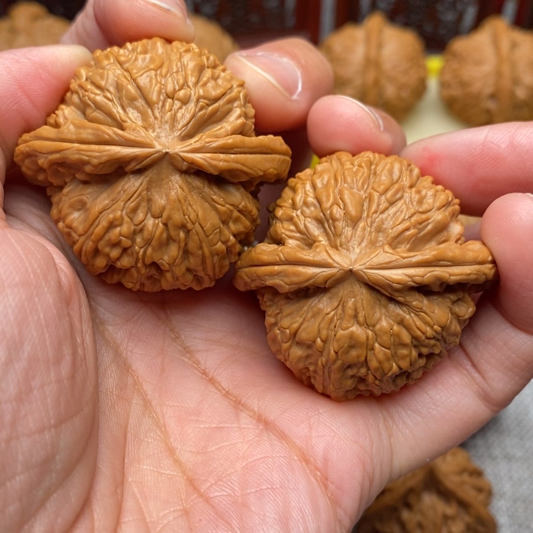 文玩核桃把件全品白狮子肉球42+尺