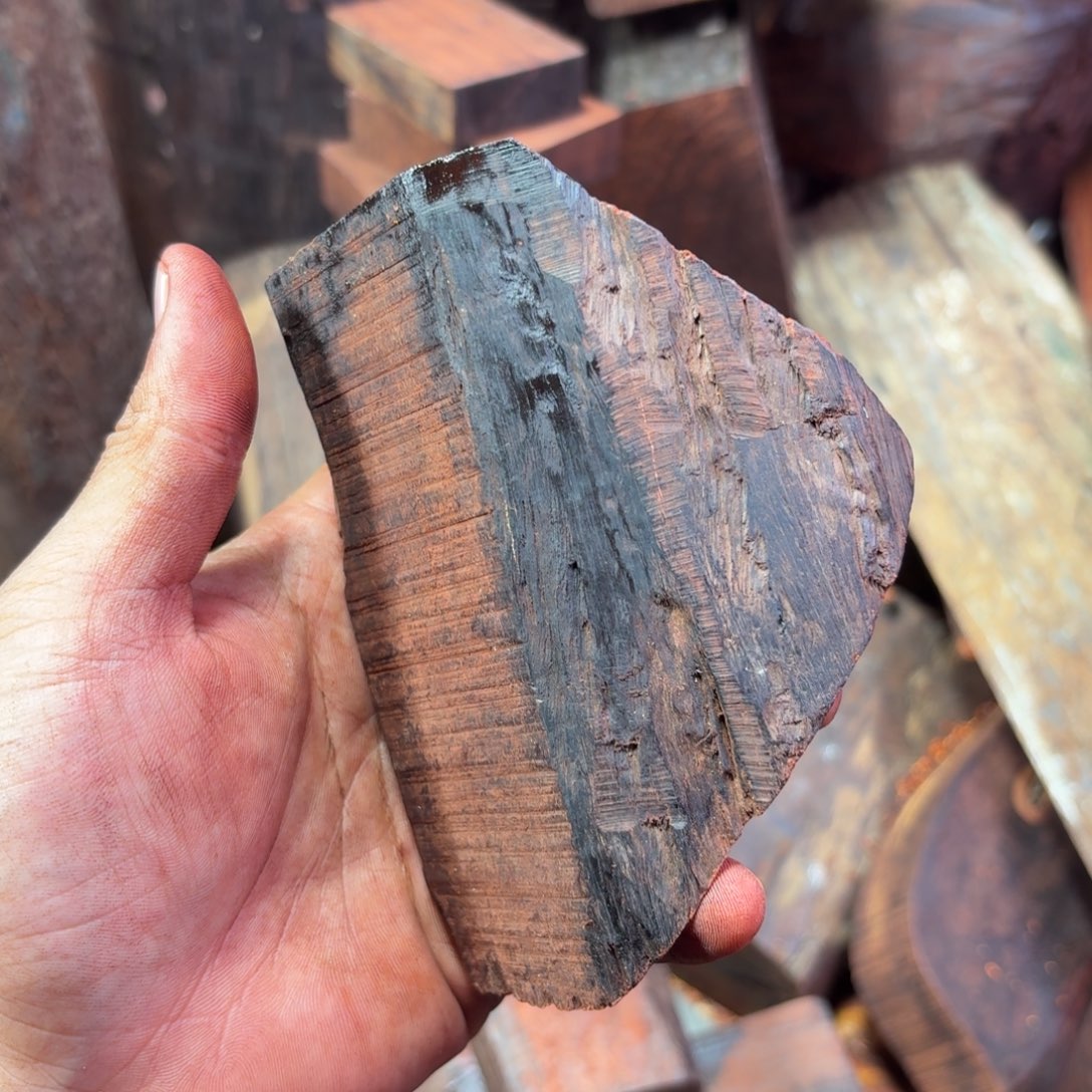 惊***蛰檀香紫檀（小叶紫檀）