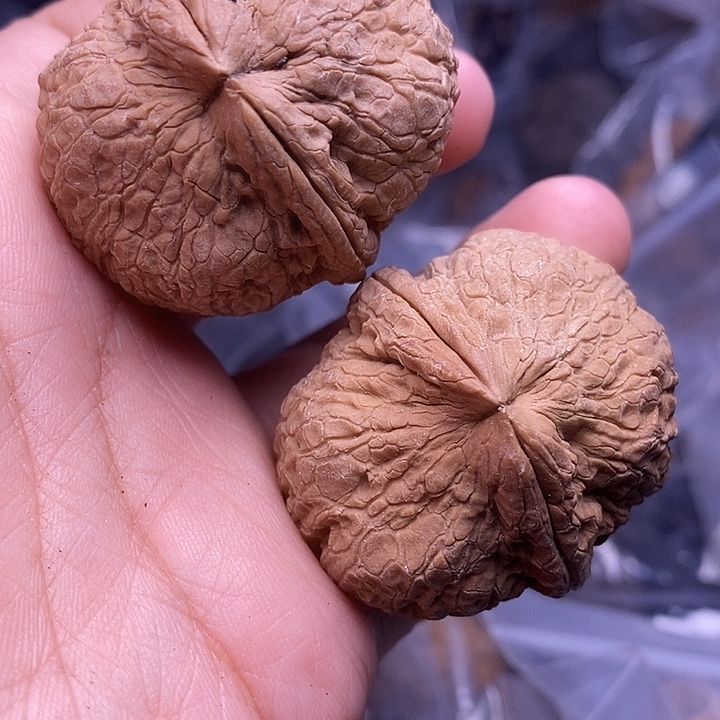 文玩核桃把件   153