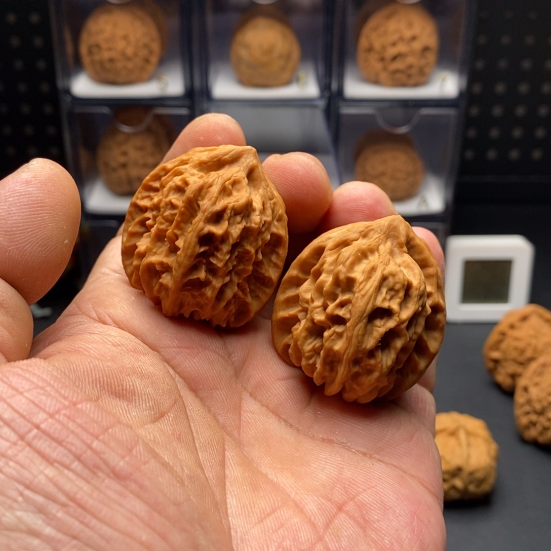 大***葱36.5全品曹大龙888888888