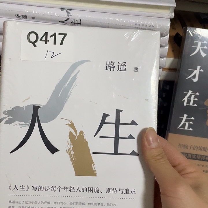 人生   精装带塑封