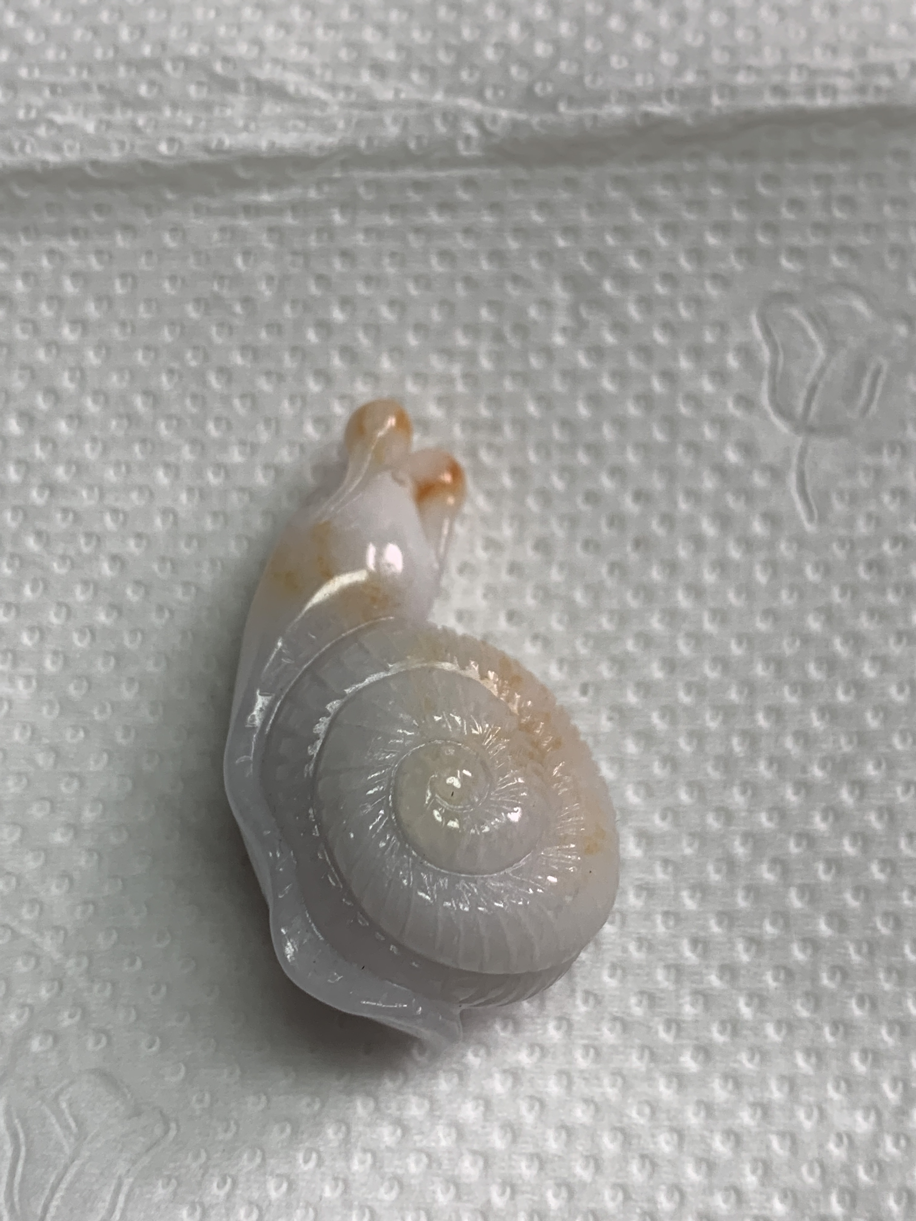 玉如军意翡翠珠宝