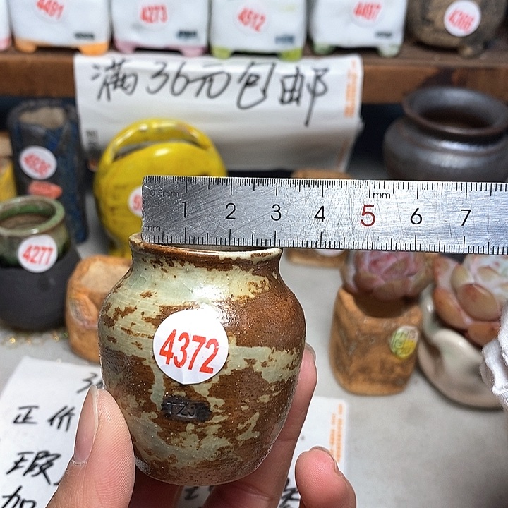 红陶拍5送一个小