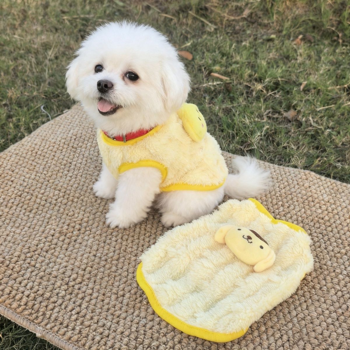 猫咪衣服秋冬季冬天保暖背心布偶猫比熊博美泰迪中小型犬宠物衣zy