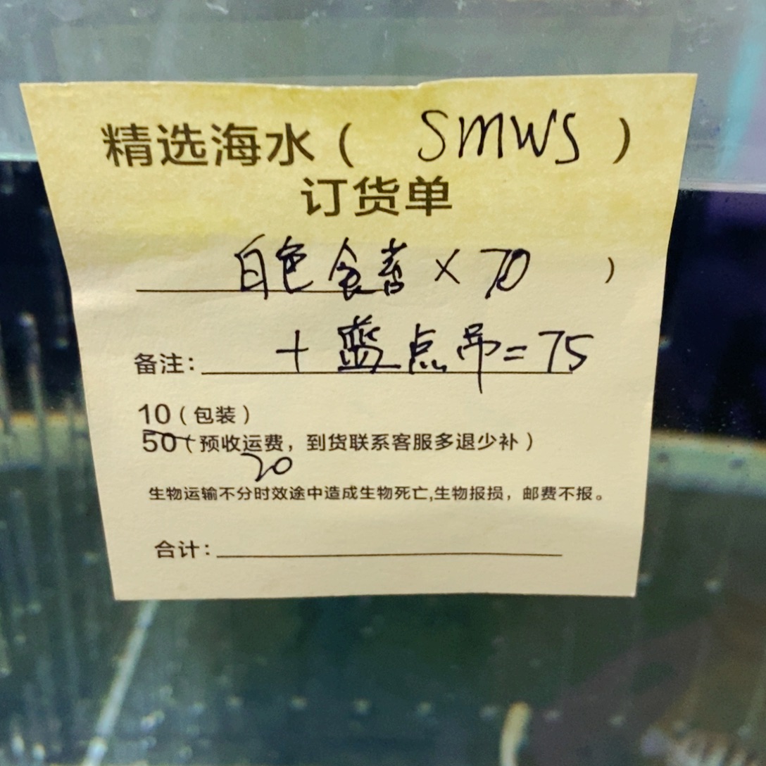 海水鱼白色食苔➕蓝点吊